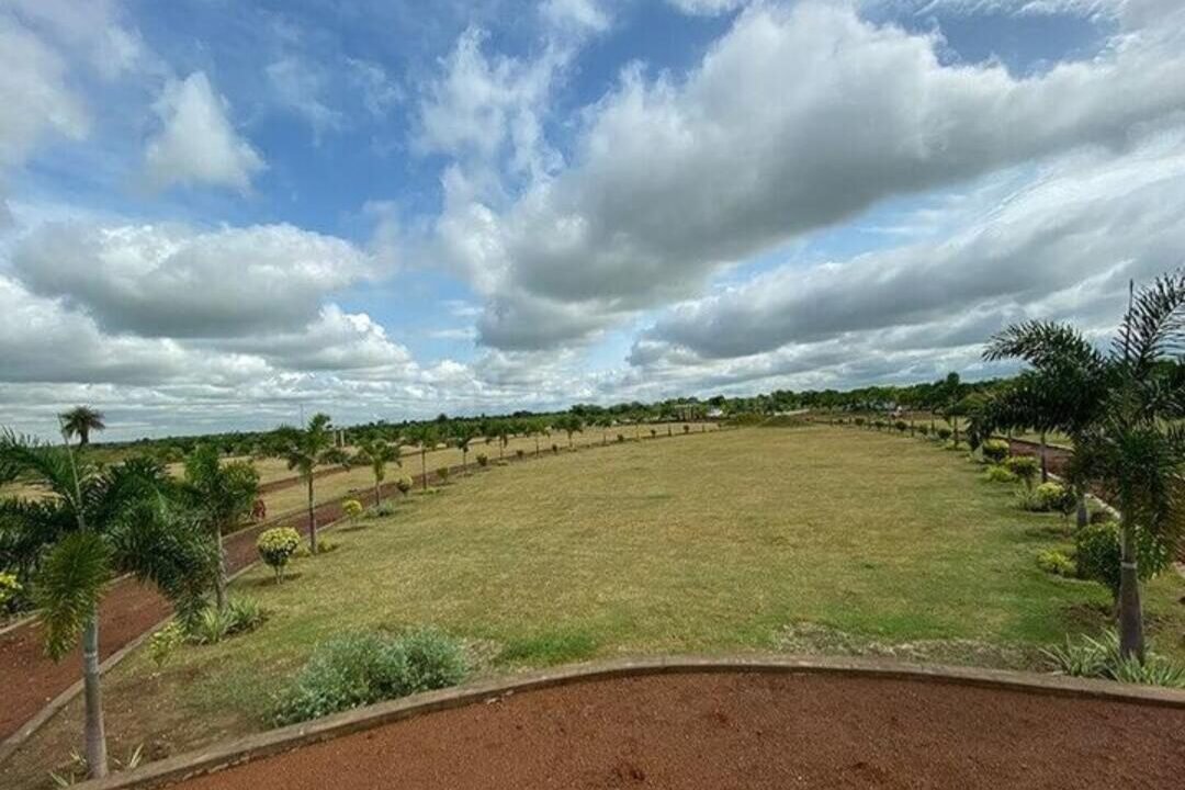 745847142O-1776525916874