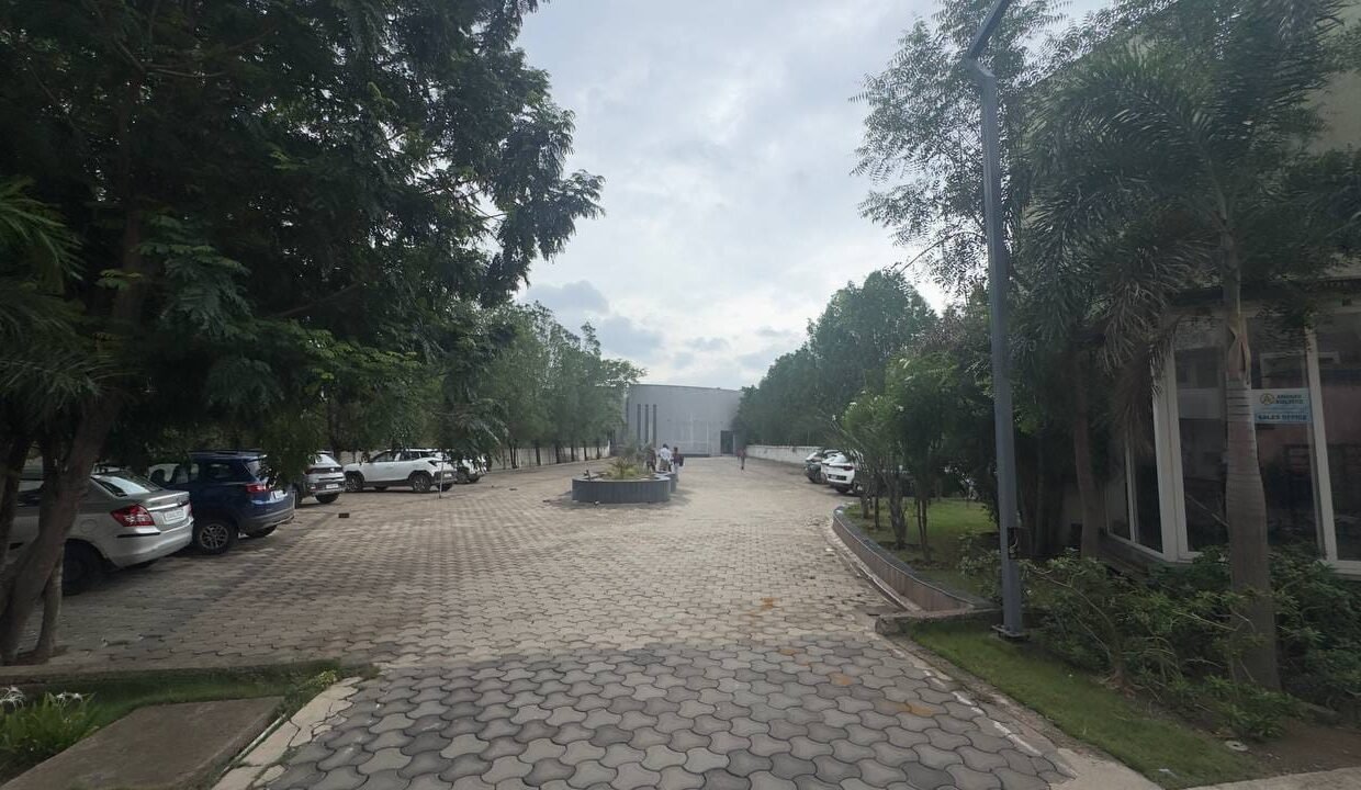 WhatsApp Image 2026-07-31 at 14.07.38