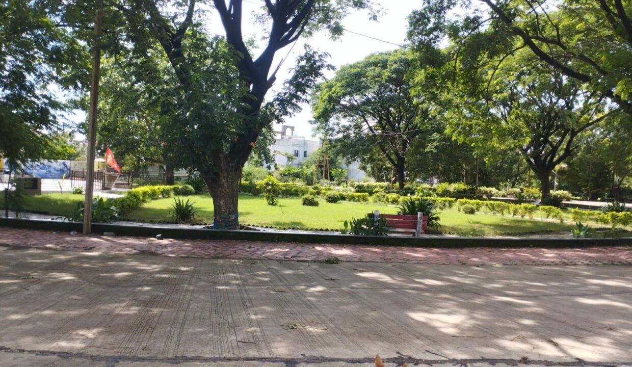 WhatsApp Image 2026-07-31 at 15.05.46 (1)