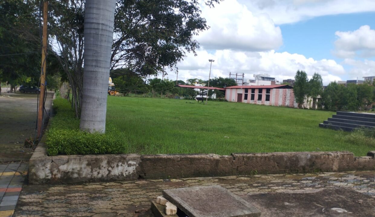 WhatsApp Image 2026-07-31 at 15.05.47 (1)