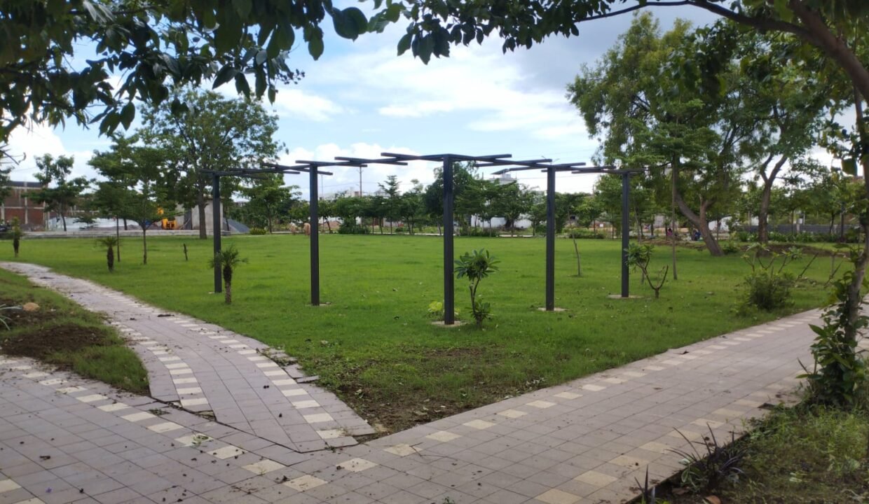 WhatsApp Image 2026-07-31 at 15.55.15 (1)