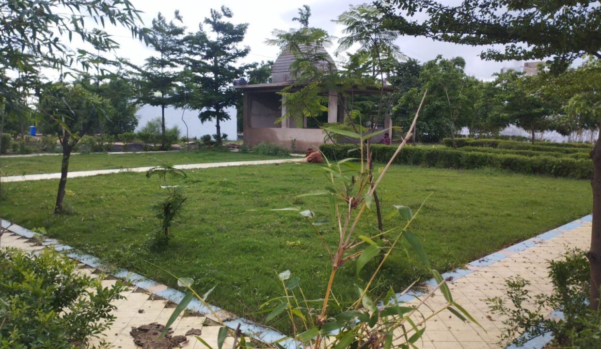 WhatsApp Image 2026-07-31 at 15.55.15 (2)